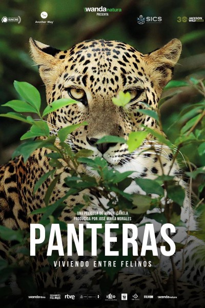 Caratula, cartel, poster o portada de Panteras