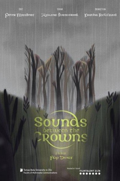 Caratula, cartel, poster o portada de Sounds Between The Crowns