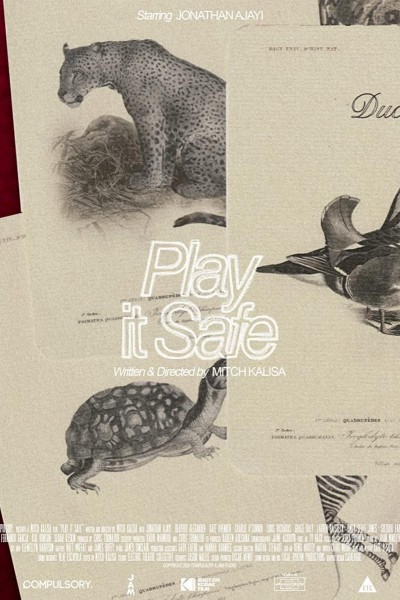 Caratula, cartel, poster o portada de Play It Safe