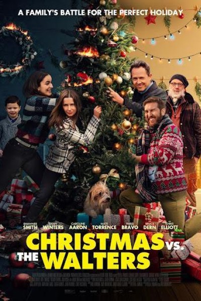 Caratula, cartel, poster o portada de Christmas vs. The Walters