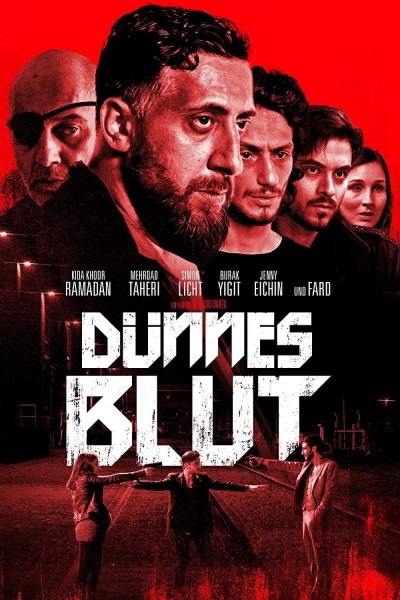 Caratula, cartel, poster o portada de Dünnes Blut