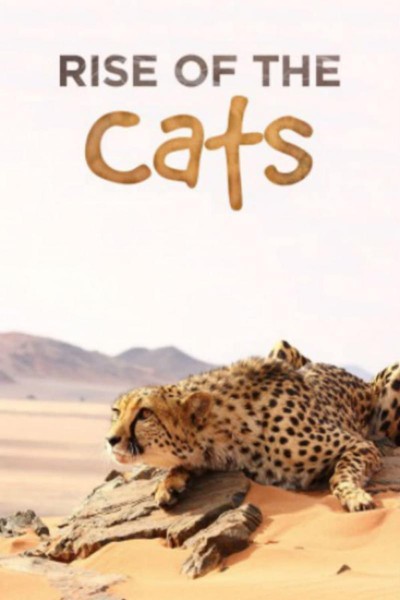 Caratula, cartel, poster o portada de Cats: An Amazing Animal Family
