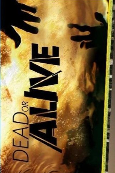 Caratula, cartel, poster o portada de Dead or Alive