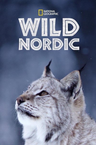 Caratula, cartel, poster o portada de Wild Nordic