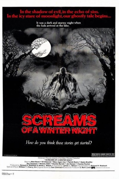 Caratula, cartel, poster o portada de Screams of a Winter Night