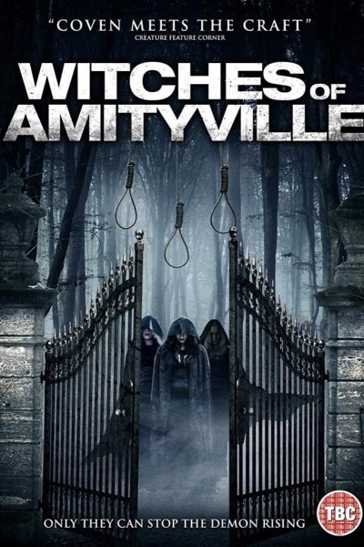 Caratula, cartel, poster o portada de Witches of Amityville Academy