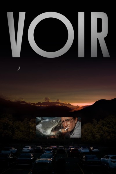 Caratula, cartel, poster o portada de Voir: Las claves del cine en la cultura contemporánea