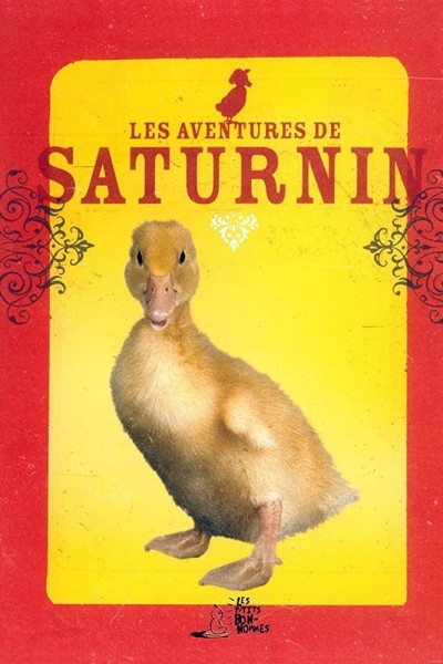 Caratula, cartel, poster o portada de Las aventuras de Saturnino
