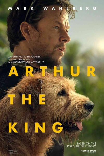 Caratula, cartel, poster o portada de Arthur