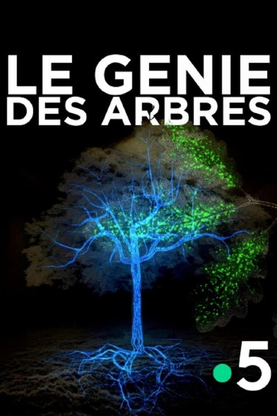 Caratula, cartel, poster o portada de La genialidad de los árboles