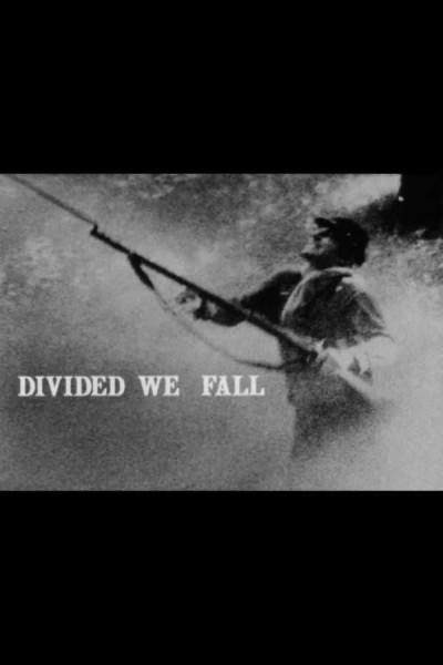 Cubierta de Divided We Fall