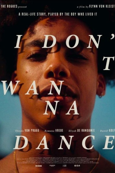 Cubierta de I Don\'t Wanna Dance