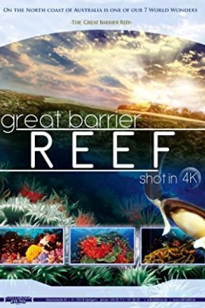 Cubierta de Great Barrier Reef 4K