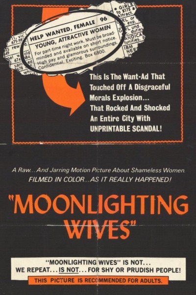 Cubierta de Moonlighting Wives
