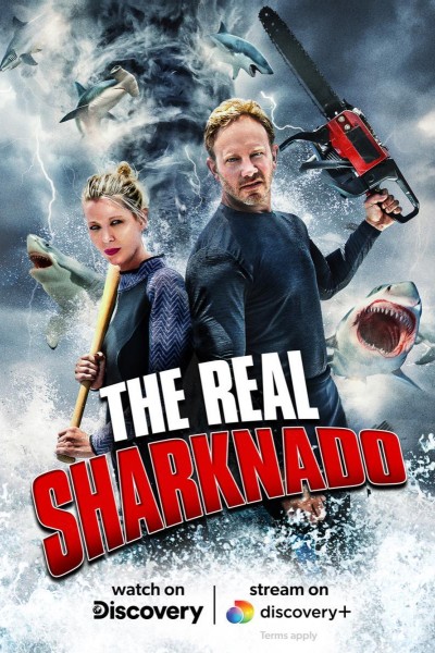 Caratula, cartel, poster o portada de The Real Sharknado