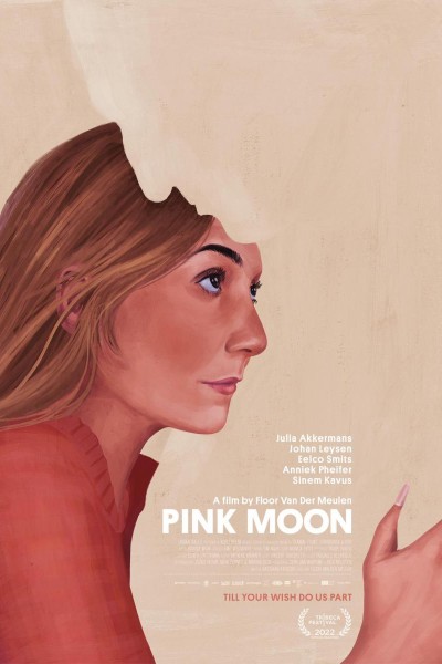 Caratula, cartel, poster o portada de Pink Moon
