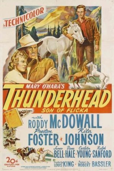 Caratula, cartel, poster o portada de Thunderhead, hijo de Flicka