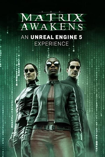 Caratula, cartel, poster o portada de El despertar de Matrix