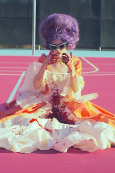 Cubierta de Grimes: Flesh Without Blood/Life in the Vivid Dream (Vídeo musical)