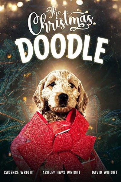 Caratula, cartel, poster o portada de The Christmas Doodle