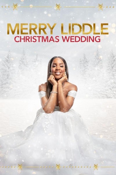 Caratula, cartel, poster o portada de Merry Liddle Christmas Wedding