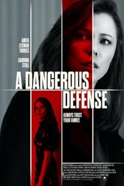 Caratula, cartel, poster o portada de A Dangerous Defense