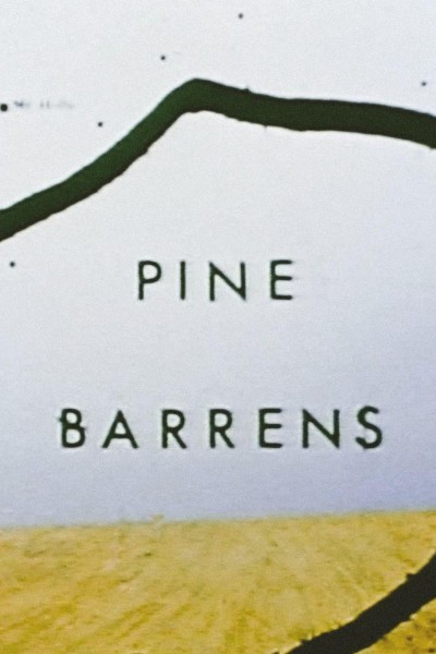 Cubierta de Pine Barrens