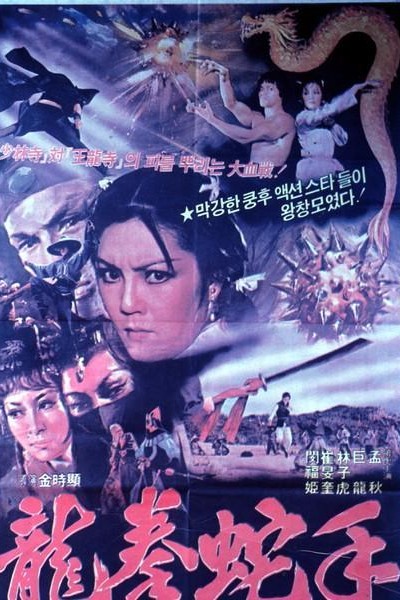 Caratula, cartel, poster o portada de Dragon\'s Showdown