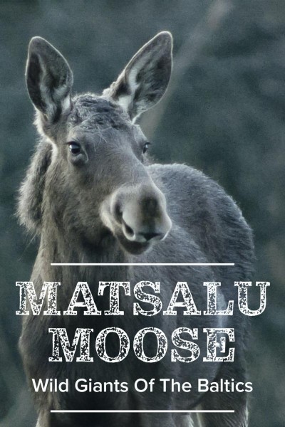 Caratula, cartel, poster o portada de Los alces de Matsalu