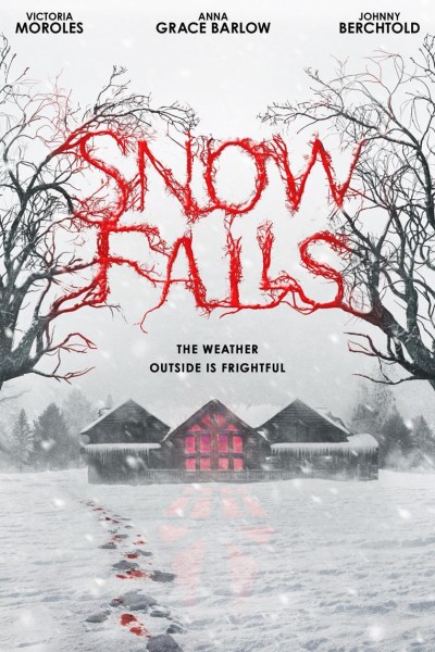 Caratula, cartel, poster o portada de Snow Falls