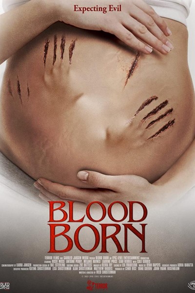 Caratula, cartel, poster o portada de Blood Born