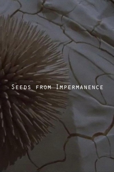Cubierta de Seeds from Impermanence