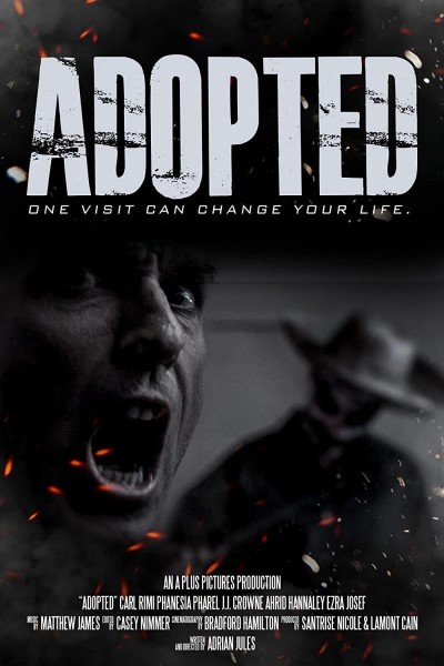 Caratula, cartel, poster o portada de Adopted