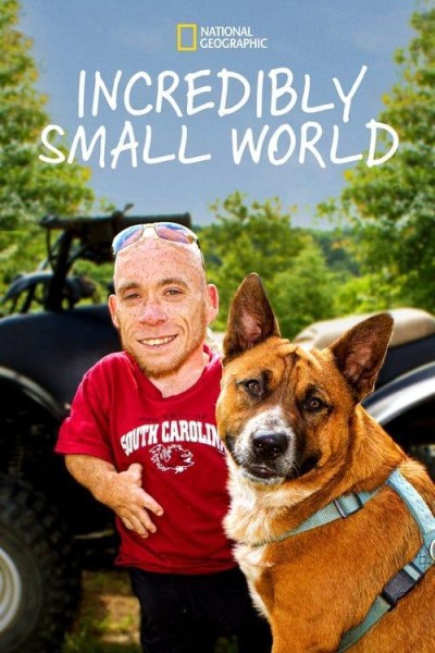 Caratula, cartel, poster o portada de Incredibly Small World