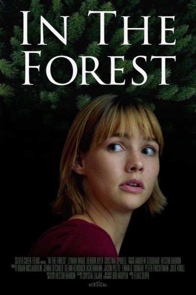 Caratula, cartel, poster o portada de Atrapados en el bosque