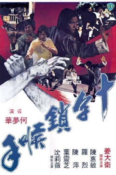 Caratula, cartel, poster o portada de La llave de Shaolin