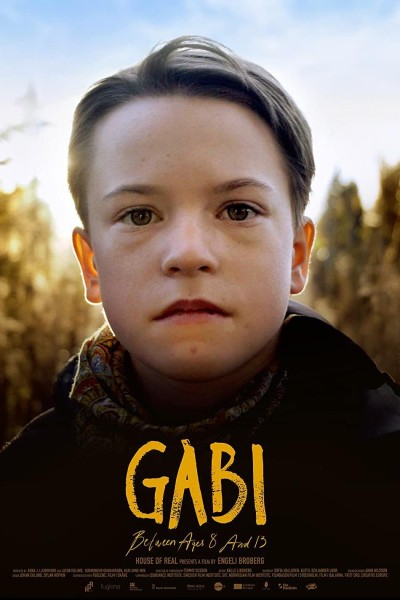 Caratula, cartel, poster o portada de Gabi, de los 8 a los 13 años