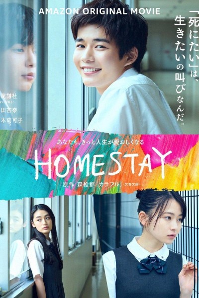 Caratula, cartel, poster o portada de Homestay