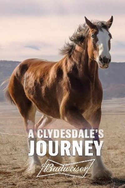Cubierta de A Clydesdale\'s Journey