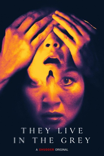 Caratula, cartel, poster o portada de They Live in the Grey