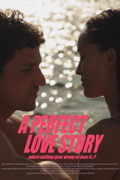 Cubierta de A Perfect Love Story where nothing goes wrong or does it..?