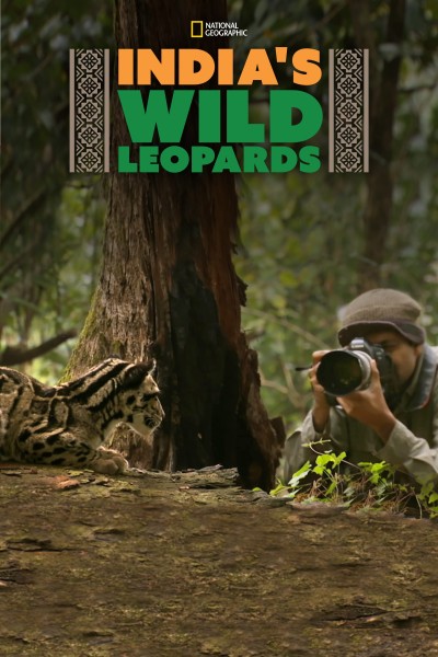 Caratula, cartel, poster o portada de India\'s Wild Leopards