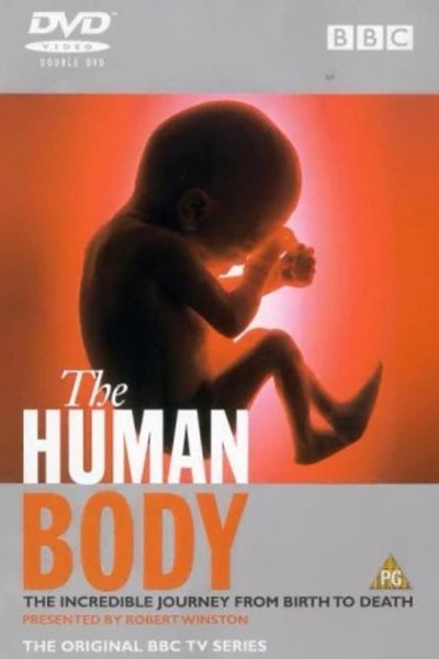 Caratula, cartel, poster o portada de The Human Body