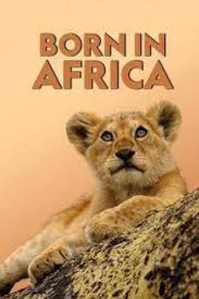 Caratula, cartel, poster o portada de Creciendo en África