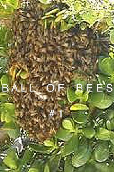 Cubierta de Ball of Bees