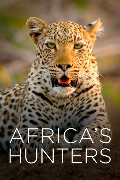 Caratula, cartel, poster o portada de Cazadores de África