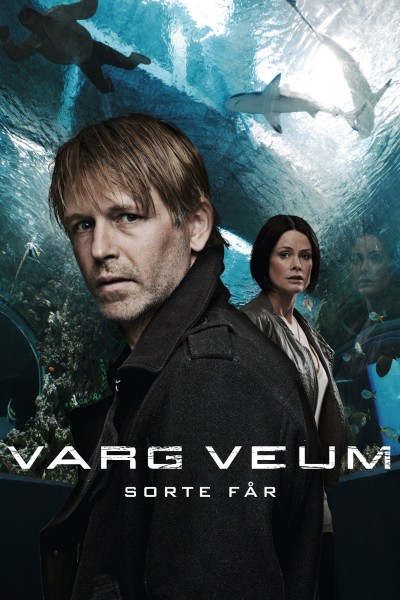 Caratula, cartel, poster o portada de Varg Veum - Oveja negra