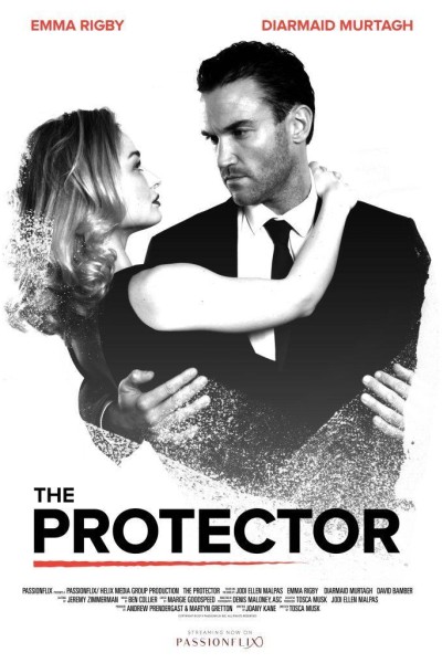 Caratula, cartel, poster o portada de The Protector