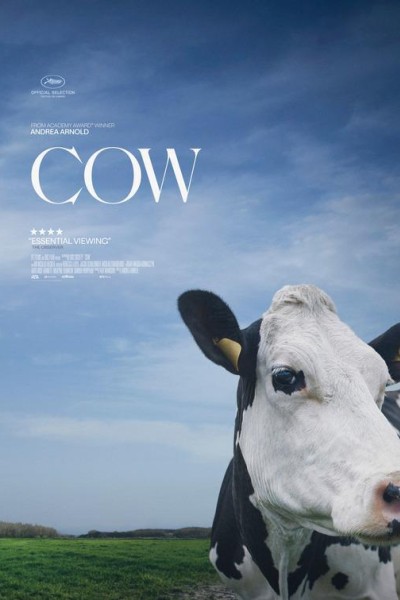 Caratula, cartel, poster o portada de Vaca