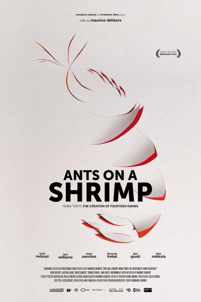 Cubierta de Ants on a Shrimp